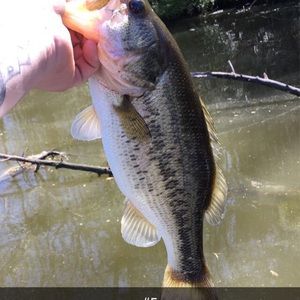 Meet your Posher, Devon